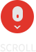 스크롤